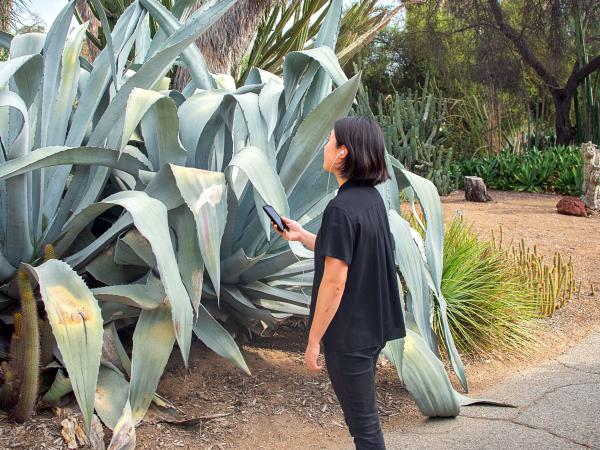 A woman with dark hair wearing a black shirt stand in front of a large plant.