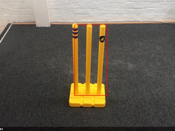Render of cricket stumps