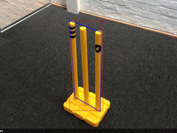 Cricket stumps