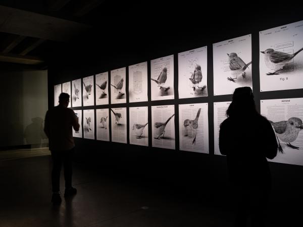 A man and a woman are looking at wall art in a dark room at the Museum of Old and New Art