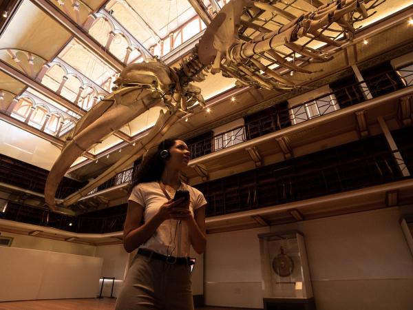 Women holding mobile device and wearing headphones, and looking up at the skeleton of Otto the blue whale in WA Museum Boola Bardip.