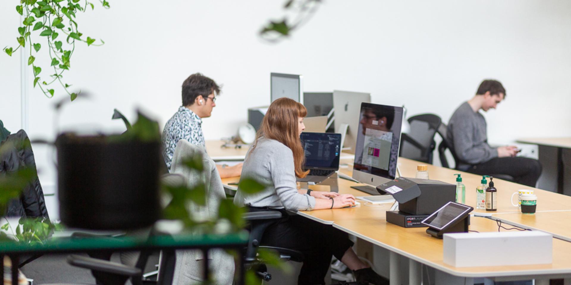 Art Processors employees working in the company's Melbourne headquarters.