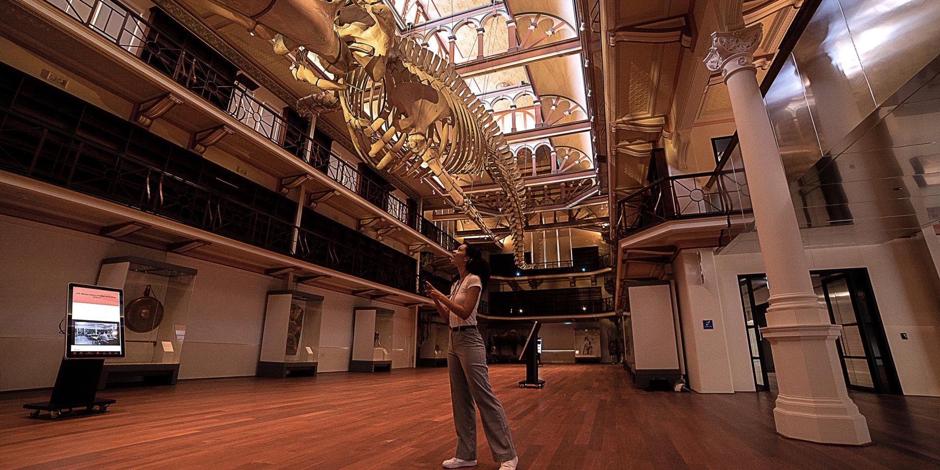 Woman standing in WA Museum Boola Bardip, wearing headphones, holding a phone, and looking up at a whale skeleton.