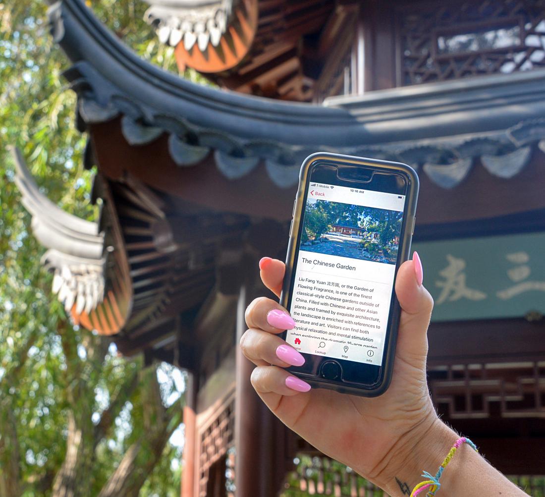A hand with fingernails painted pink holds a mobile phone in front of a building with a decorative Chinese roof.