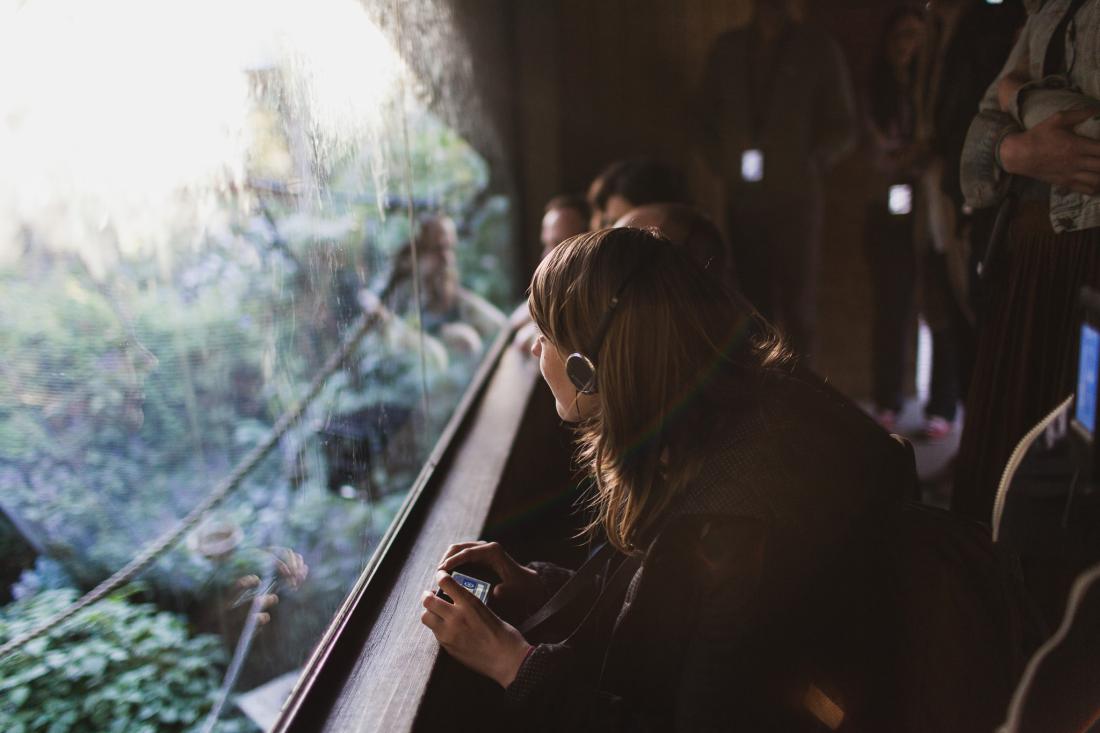 A woman wearing headphones and holding an iPod Touch leans forward to look through the window of a zoo enclosure.