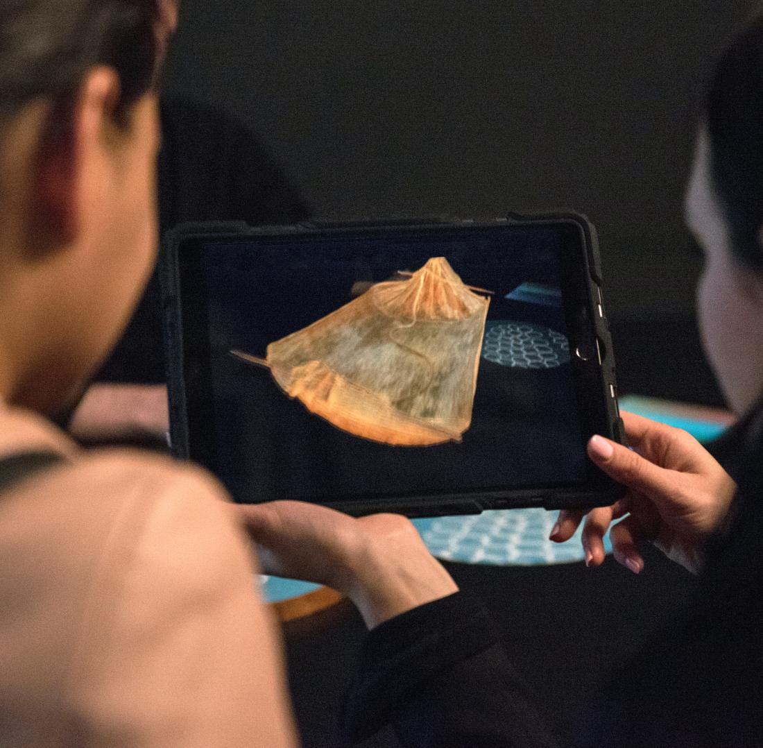 Two women looking at an iPad showing augmented reality