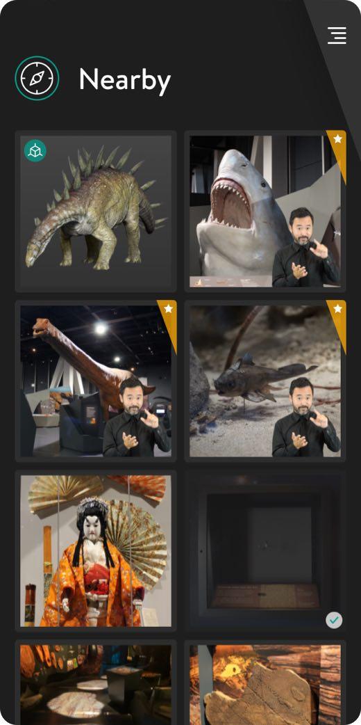 Mobile screen showing app interface of the GoGo app with grid of images 